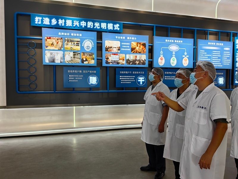 点击见大图